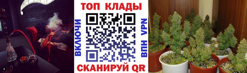 Канабис Георгиевск