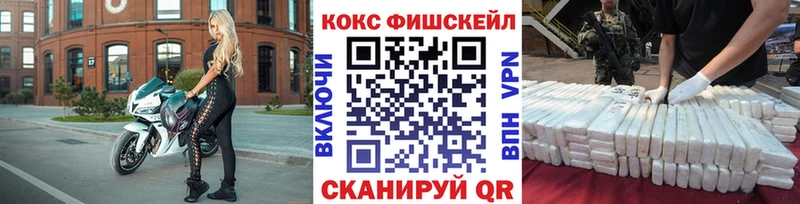 Cocaine Fish Scale  Купить закладки  Георгиевск 