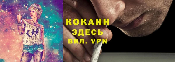 бошки Инта