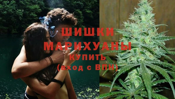 бошки Инта