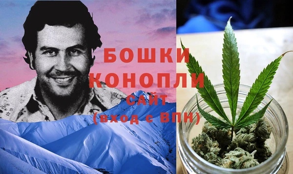 тгк Иннополис