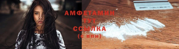 Альфа ПВП Инсар