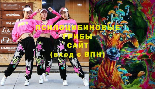 бошки Инта