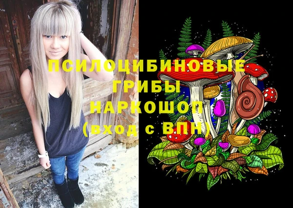 Альфа ПВП Инсар