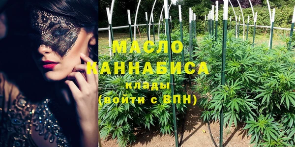Альфа ПВП Инсар