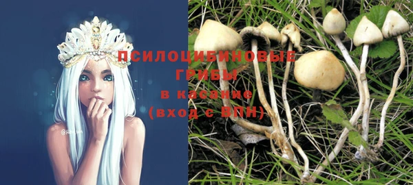 бошки Инта
