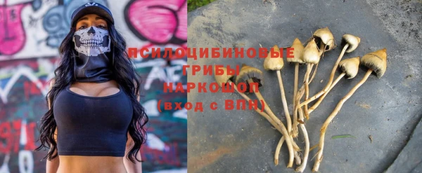 бошки Инта