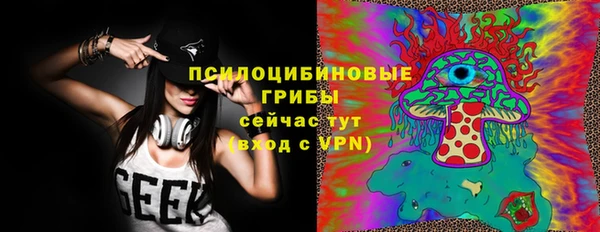Альфа ПВП Инсар